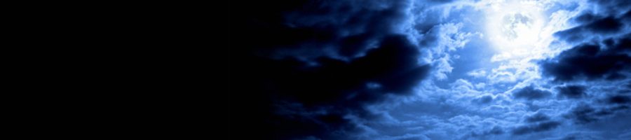 �V�����������o�Ă܂���